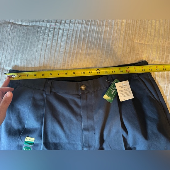 Men's Wrinkle-Free Double L® Chinos, Natural Fit, Hidden Comfort, 38X29 - Picture 7 of 12